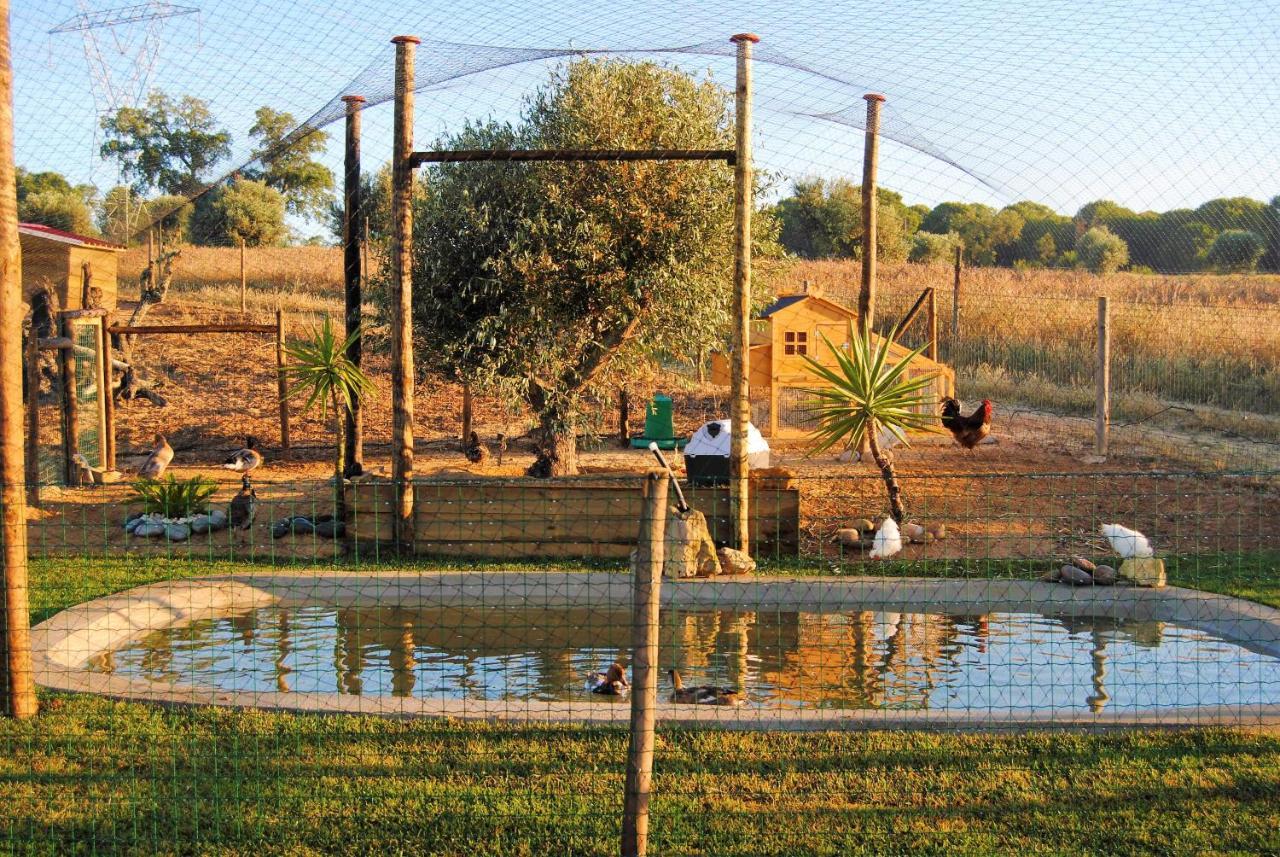 فيلا Monte D'Vagar By Estilo Lusitano, Com Piscina Privada Grândola المظهر الخارجي الصورة